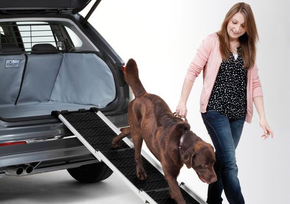 3-fach zusammenschiebbare Subaru Hunderampe