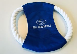 Subaru Hundefluggleiter in blau