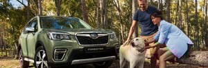 Subaru Forester mit Hund