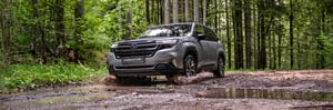 Forester-MJ25_Erlebniswelt-Jagd_Topslide02