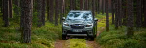 Der Subaru Forester auf einem Waldweg