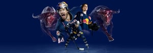 Red Bull München Eishockey Team