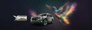 Kolibri_topslide_partner-1