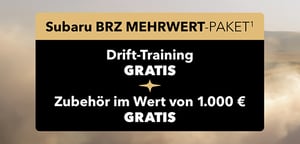 LY01_Teaser_Handel_BRZ