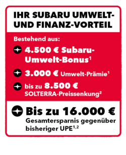 csm_LY01_Umweltbonus_Q3_2024_Badge_89b4856047