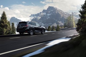 Forester EDITION BLACK PLATINUM