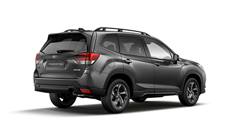 Forester Black Platinum