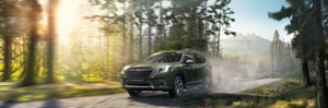 Subaru Forester im Wald