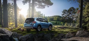Subaru Forester im Wald