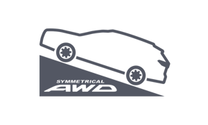 csm_Icon_AWD_4390245d6a-1