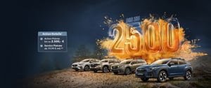 Fünf Subaru SUVs in einer Reihe vor Waldkulisse mit Text 'Bis zu 2500 €' als Aktionsprämie und Service-Flatrate ab 19,99 € monatlich